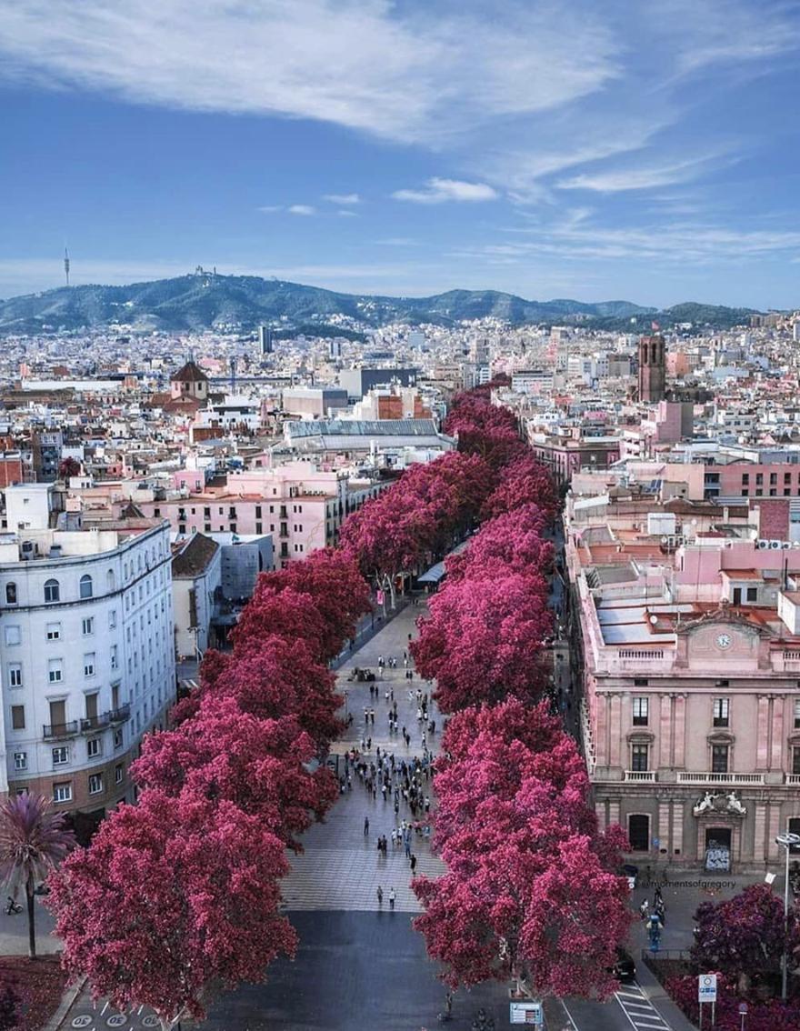 巴塞罗那旅游攻略，去巴塞罗那要注意什么？4