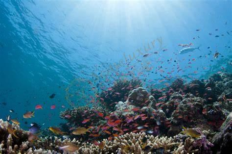 沙巴最新旅游攻略看过来,玩转沙巴最佳姿势2