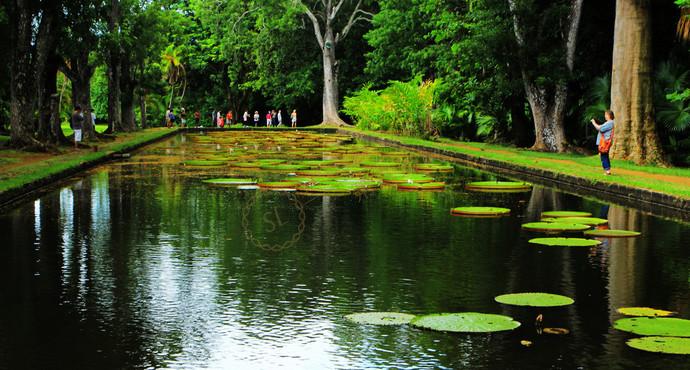 伊甸园毛里求斯都有哪些好看的景点？5