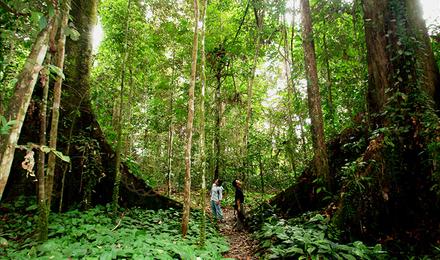 第一次到沙巴旅行的你，这些地方一定要去玩一遍5