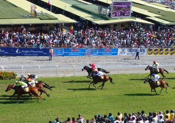 在毛里求斯旅游，都有哪些娱乐活动可以推荐？3