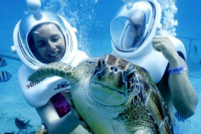 在毛里求斯旅游，都有哪些娱乐活动可以推荐？6