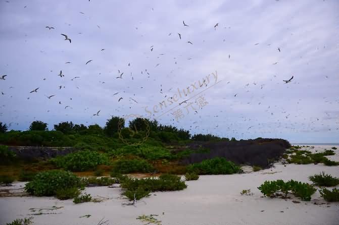 为什么选择去塞舌尔，都有哪些好玩的？4