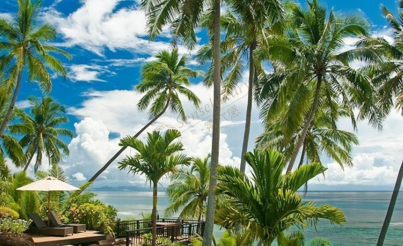 世界上最好的珊瑚礁和潜水胜地，斐济游玩攻略2