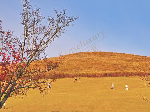 奈良这个地方怎么样?去旅行我们要注意什么?4