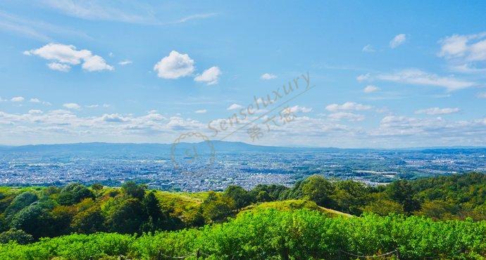 打算去奈良游玩的你，正好可以看看这份最新攻略3