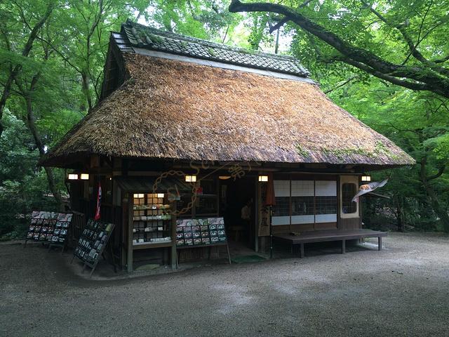 打算去奈良游玩的你，正好可以看看这份最新攻略6