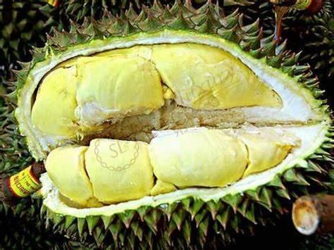 沙巴旅游不可少的购物攻略，教你正确购物姿势4