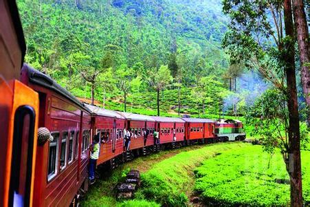 来到斯里兰卡旅行需要注意哪些事项呢？4