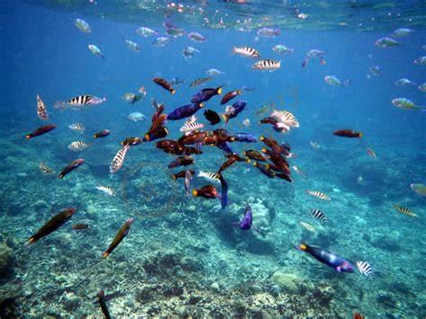 适合全年旅游的沙巴，你来对时间了吗？3