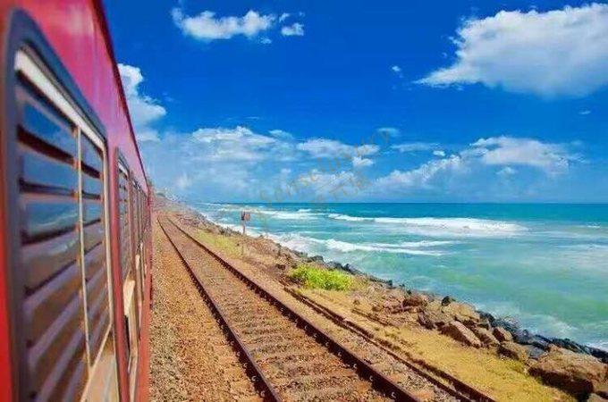 初次去斯里兰卡旅游，这几项活动可以去体验下5