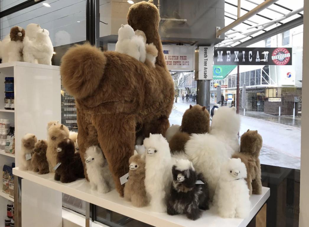 皇后镇2020年最细旅游攻略，请收藏！6