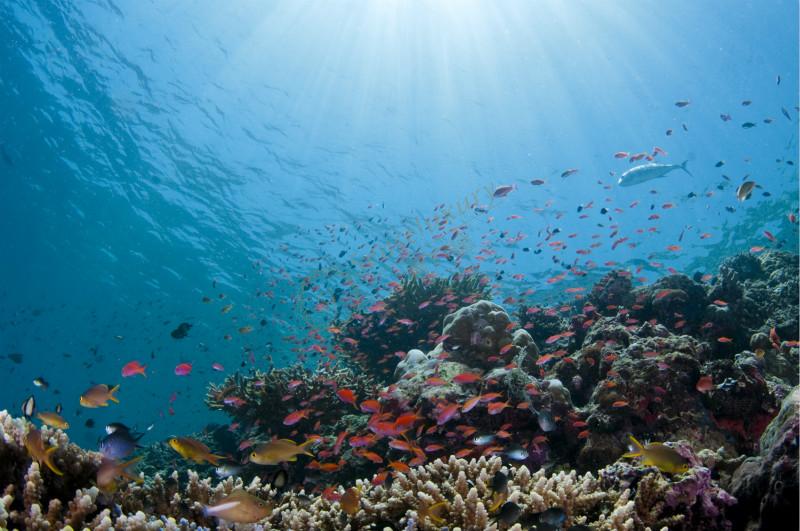 去沙巴旅游需要多少费用,结果会让你惊喜!3