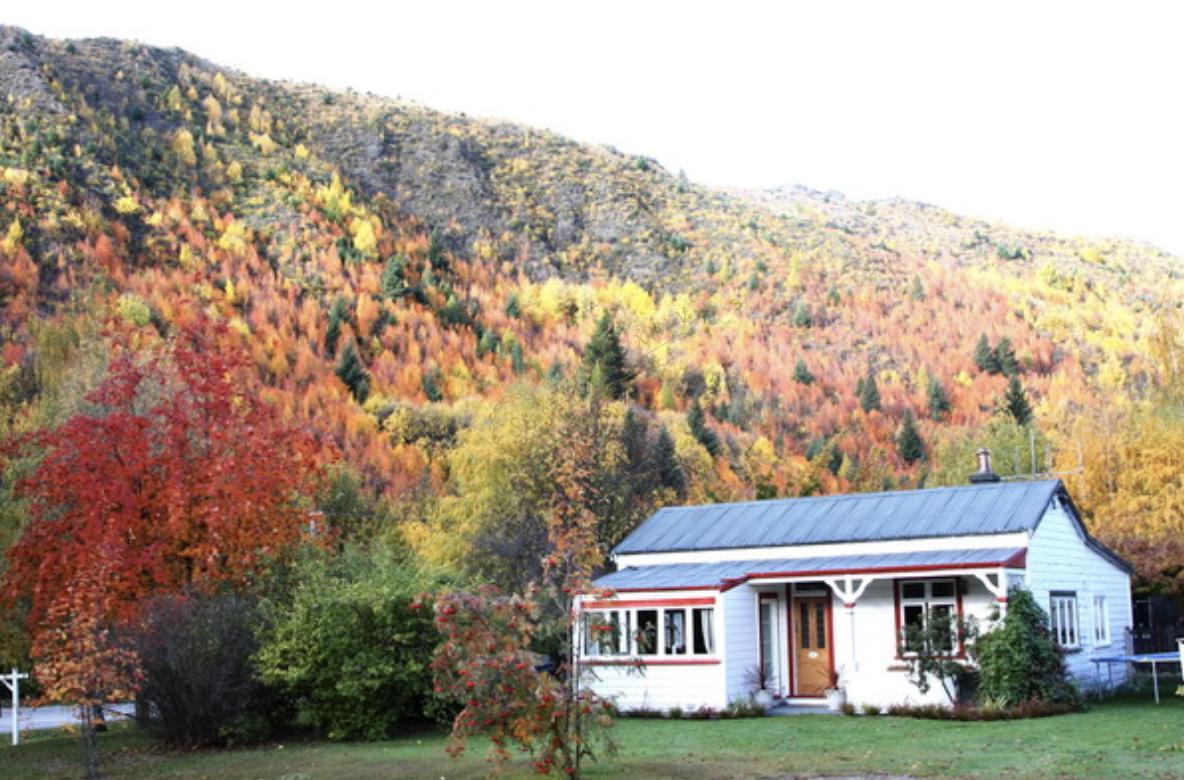 去皇后镇旅游，就要选这几个月份！4