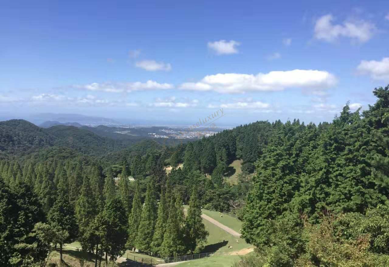 神户旅行之那些购物扫货好推荐6