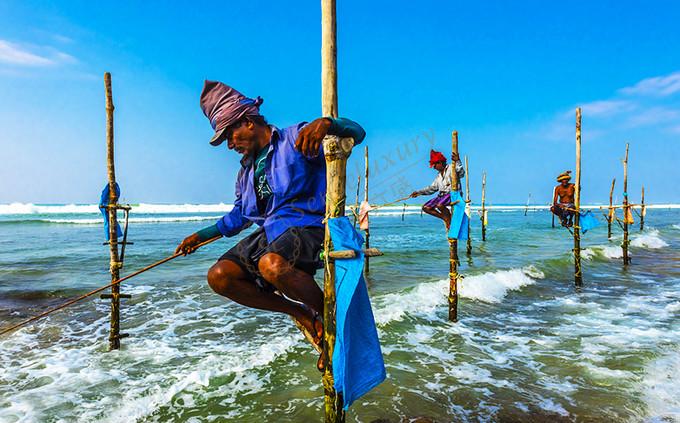 来斯里兰卡体验生活，它确实是个不错的目的地1