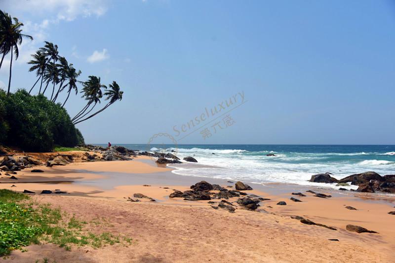 来斯里兰卡体验生活，它确实是个不错的目的地5