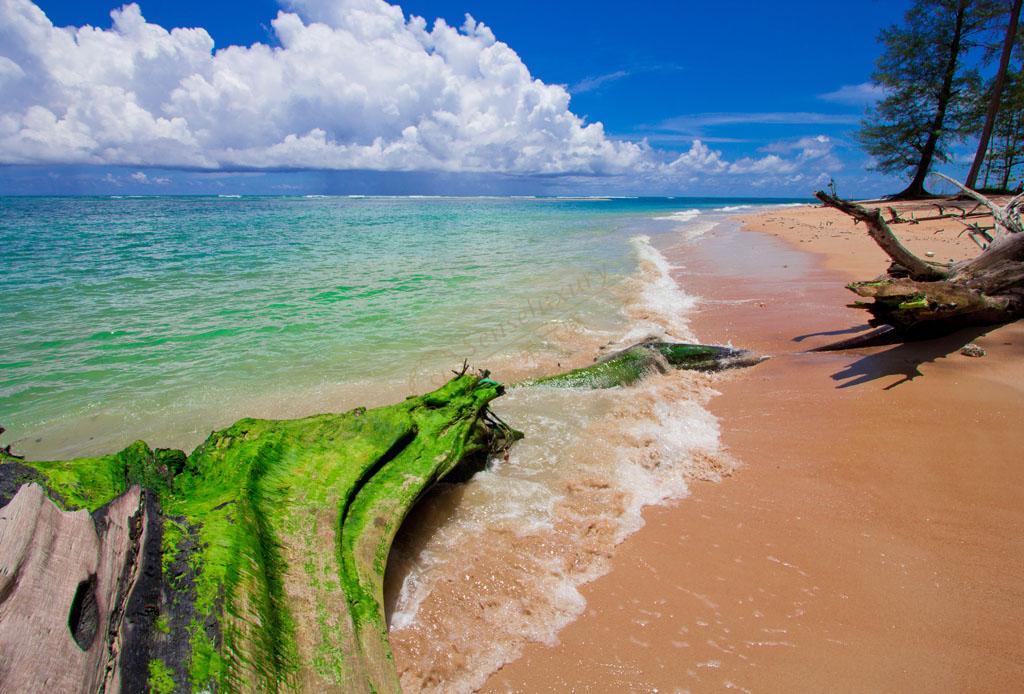 第一次去斯里兰卡，你需要了解、准备些什么呢？6