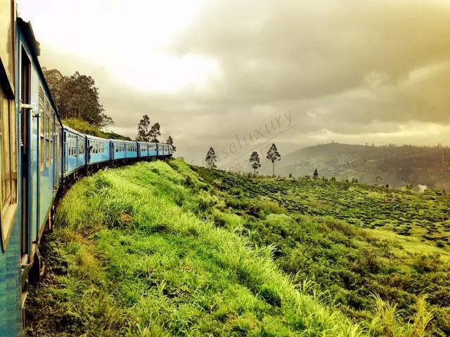 打算去斯里兰卡度假旅行，下面几点就需要大家留意2