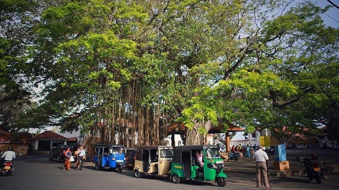 打算去斯里兰卡度假旅行，下面几点就需要大家留意5