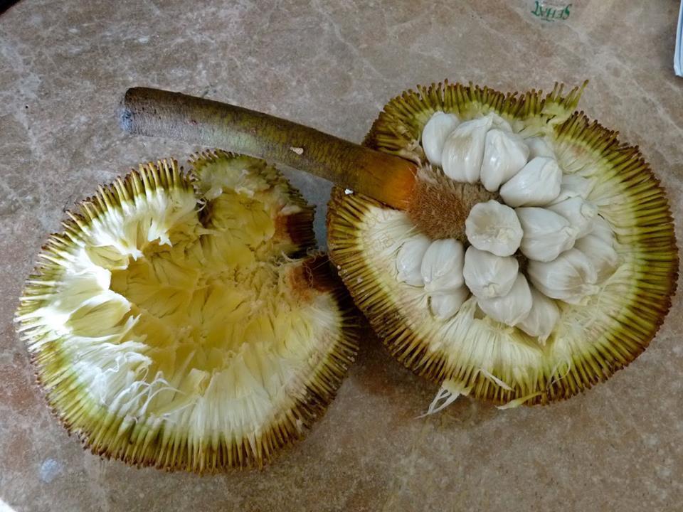 沙巴美食集锦，开启你的沙巴美食之旅！5