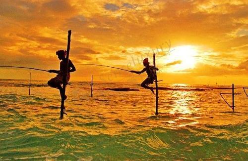 出国游玩，斯里兰卡是印度洋上值得一去的天堂4