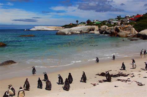 墨尔本这5个必去景点，不容错过！2