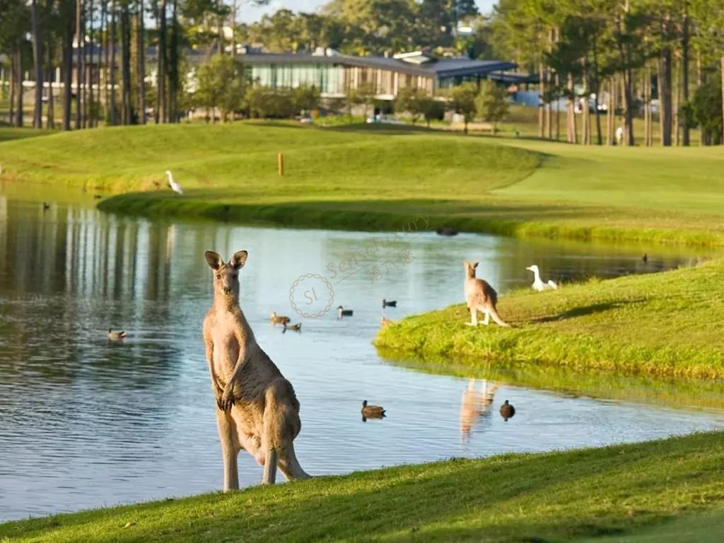 墨尔本这5个必去景点，不容错过！5