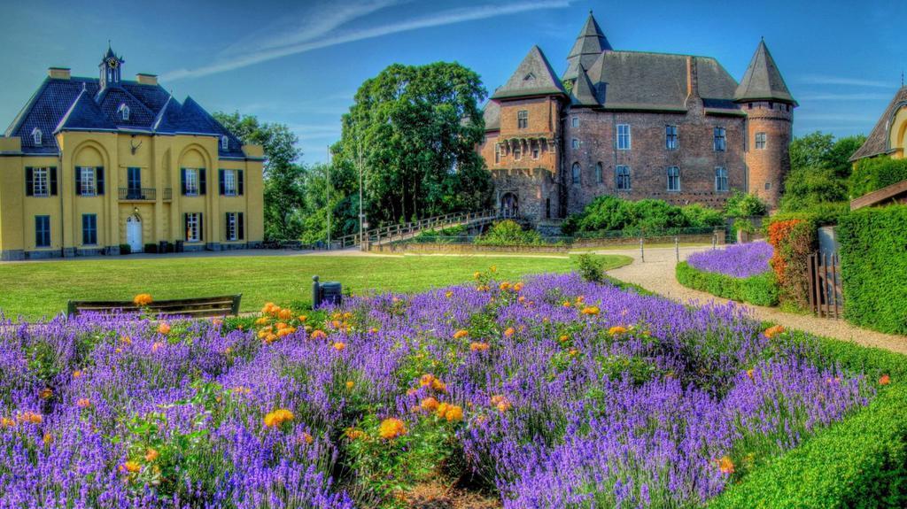 踏上普罗旺斯寻浪漫薰衣草之旅6