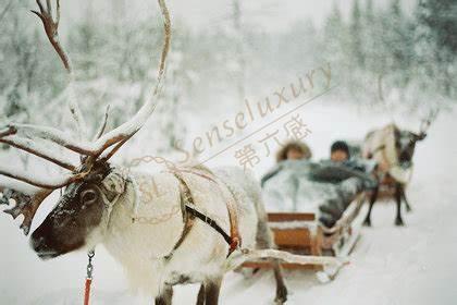 在芬兰度假必体验的几个娱乐项目2