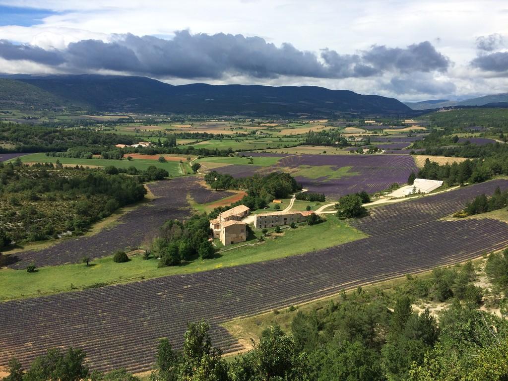去普罗旺斯看薰衣草，一定要带上这篇旅游攻略6