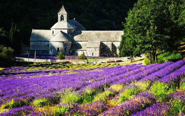 7月来普罗旺斯看薰衣草,暑假最佳度假之地3