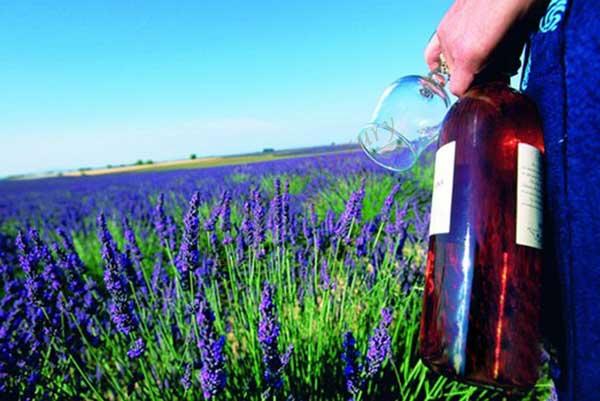 一起来了解下普罗旺斯闻名遐迩的葡萄酒文化4