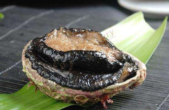 新西兰不光有美景，新西兰的美食也是十分诱人1