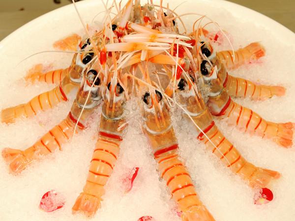 新西兰不光有美景，新西兰的美食也是十分诱人2