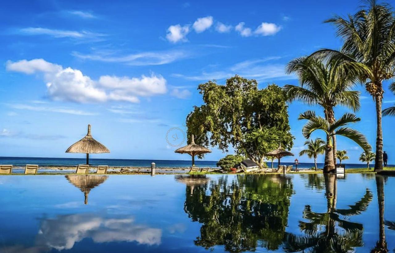 这几个月来毛里求斯，就是来到了天堂！2