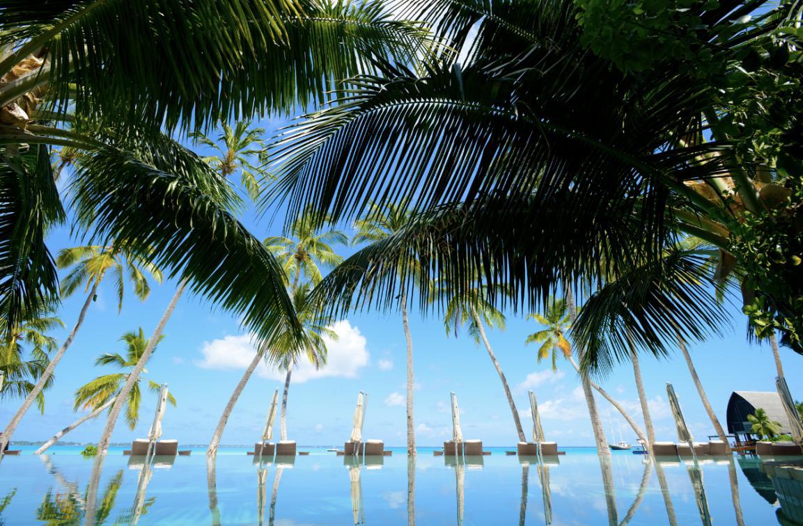 准备去毛里求斯旅游的人要注意了！这几件事不能做！2