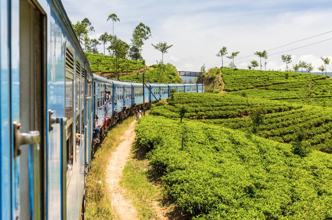 斯里兰卡旅游需要多少花费,斯里兰卡旅游费用3