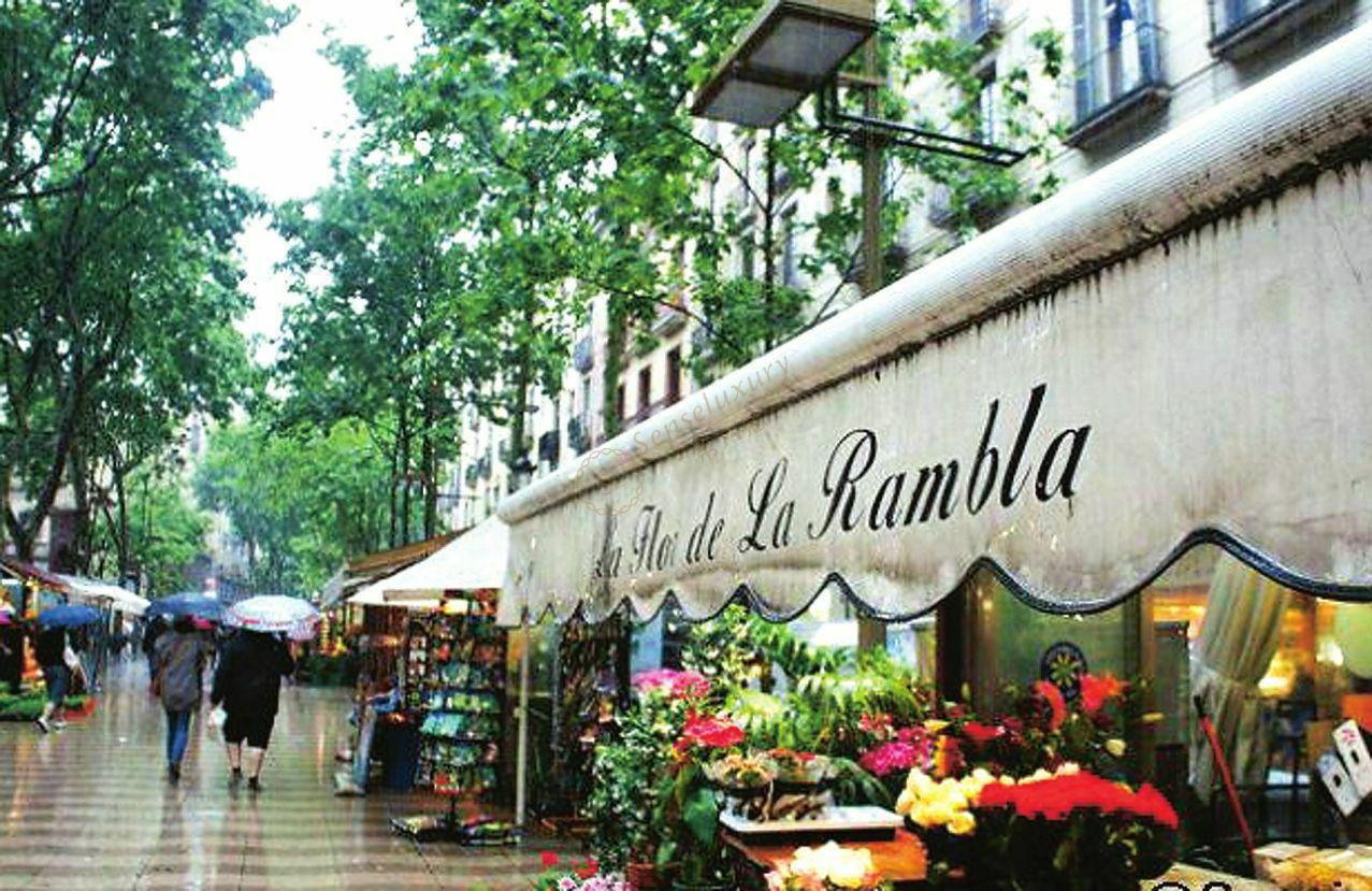 推荐一下巴塞罗那独特风格的旅游项目7