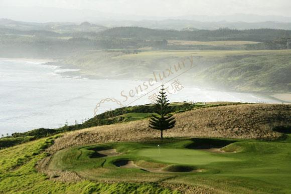 向大家介绍几个新西兰顶级高尔夫球场2