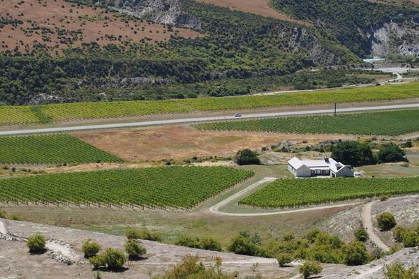 世界美酒地之新西兰都有哪些知名酒庄？4