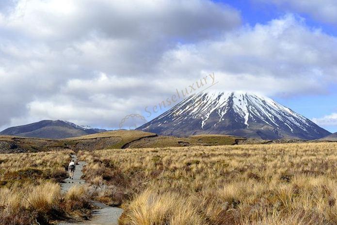 新西兰都有哪些有特色火山风景？6