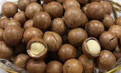 夏威夷不可错过的特产之夏威夷果1