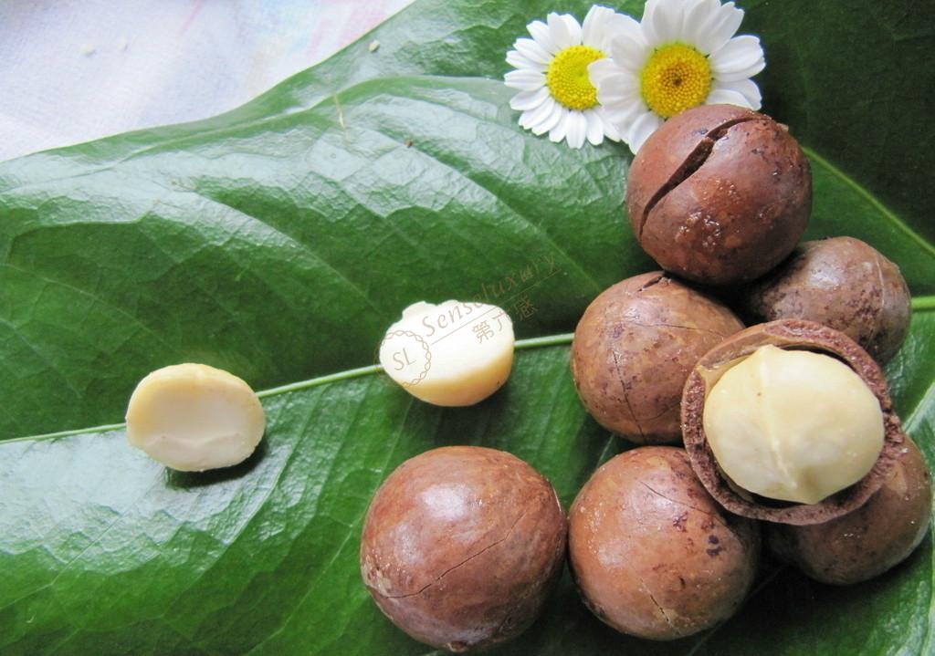 夏威夷不可错过的特产之夏威夷果3