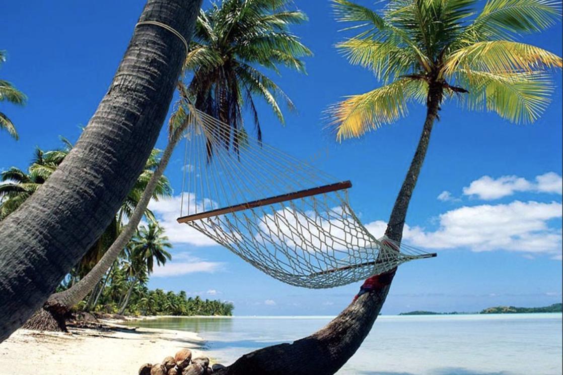 一起看看斯里兰卡最佳旅游时间是什么时候2