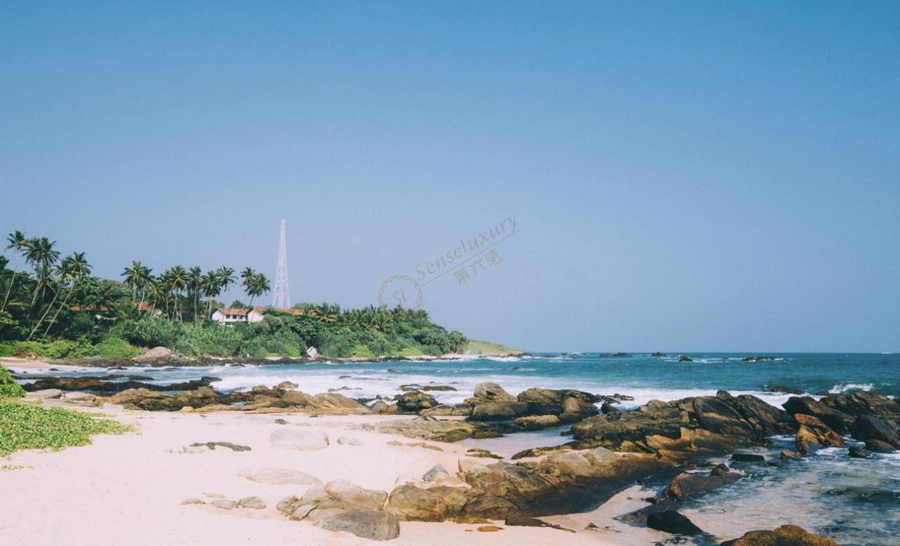 一起看看斯里兰卡最佳旅游时间是什么时候3