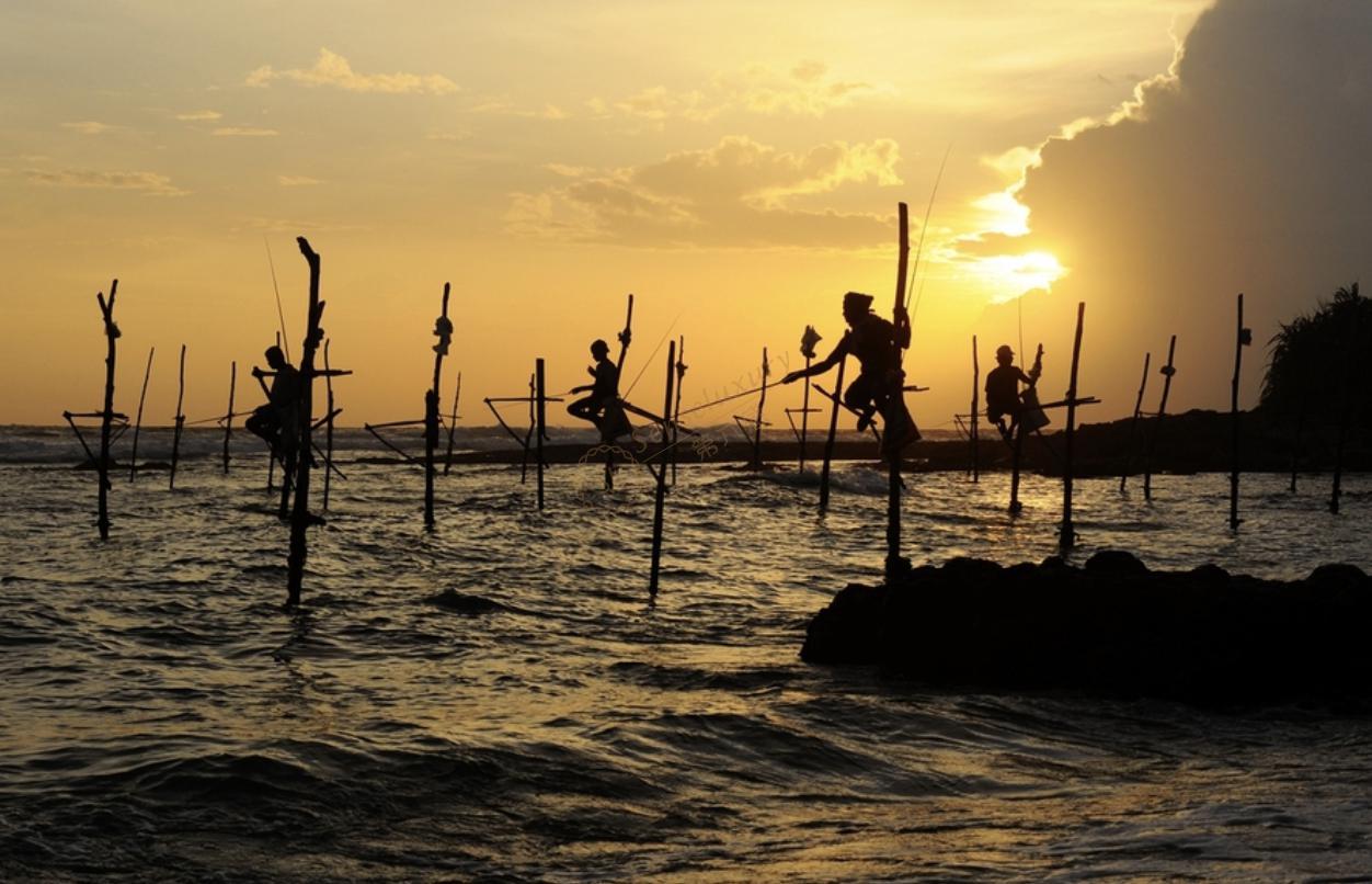 一起看看斯里兰卡最佳旅游时间是什么时候4