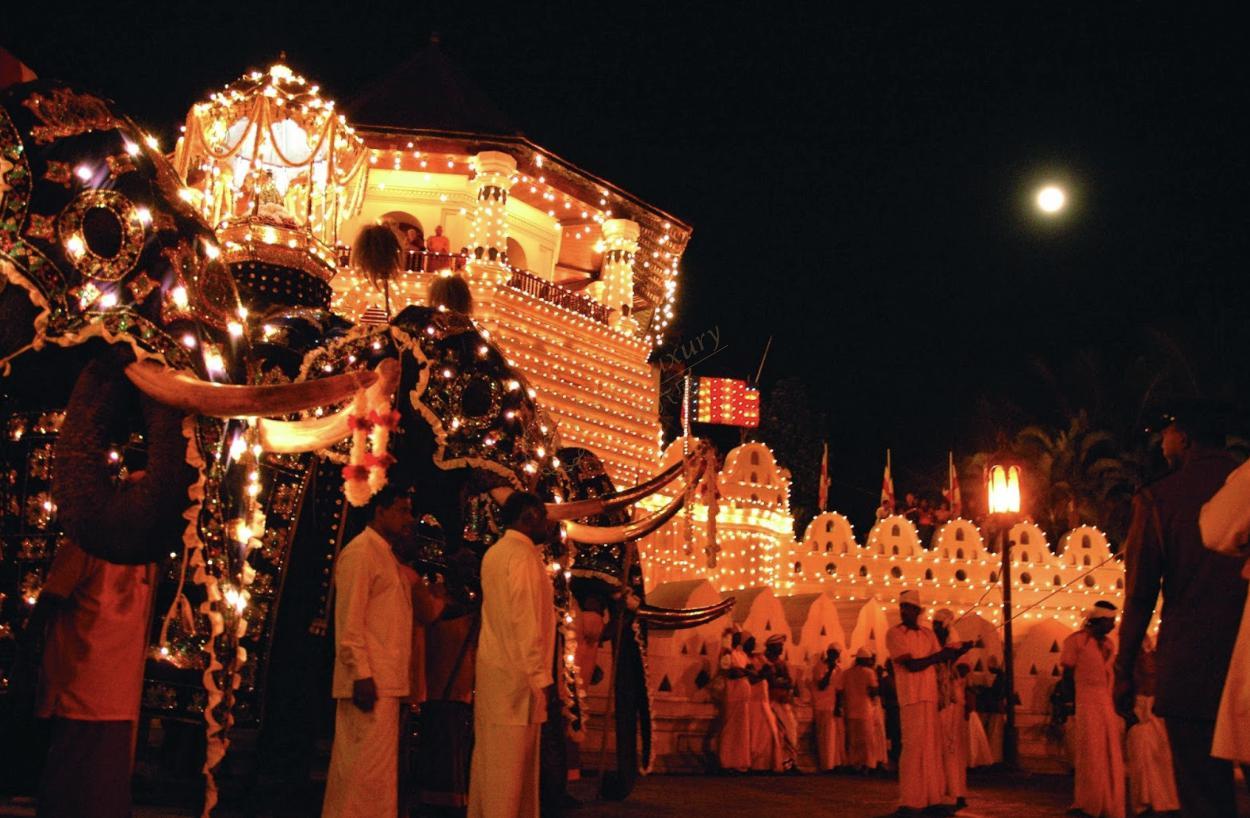 一起看看斯里兰卡最佳旅游时间是什么时候5