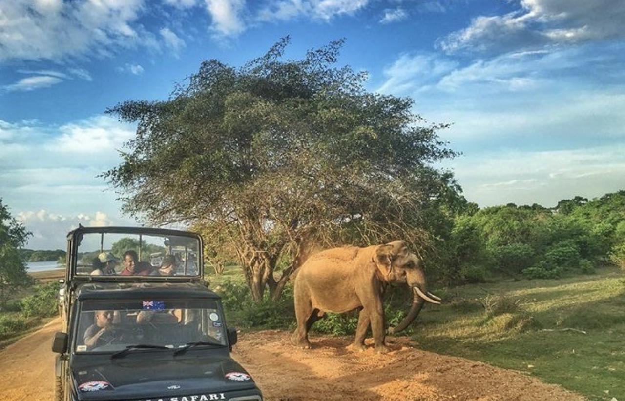 游玩斯里兰卡该去哪里，这些地方不能错过！4