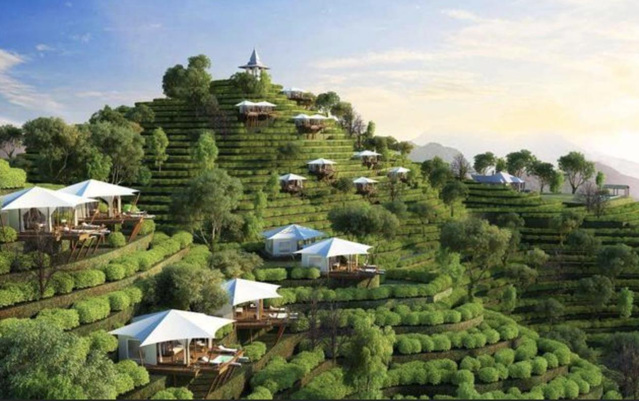 斯里兰卡经典8日自由行路线推荐4